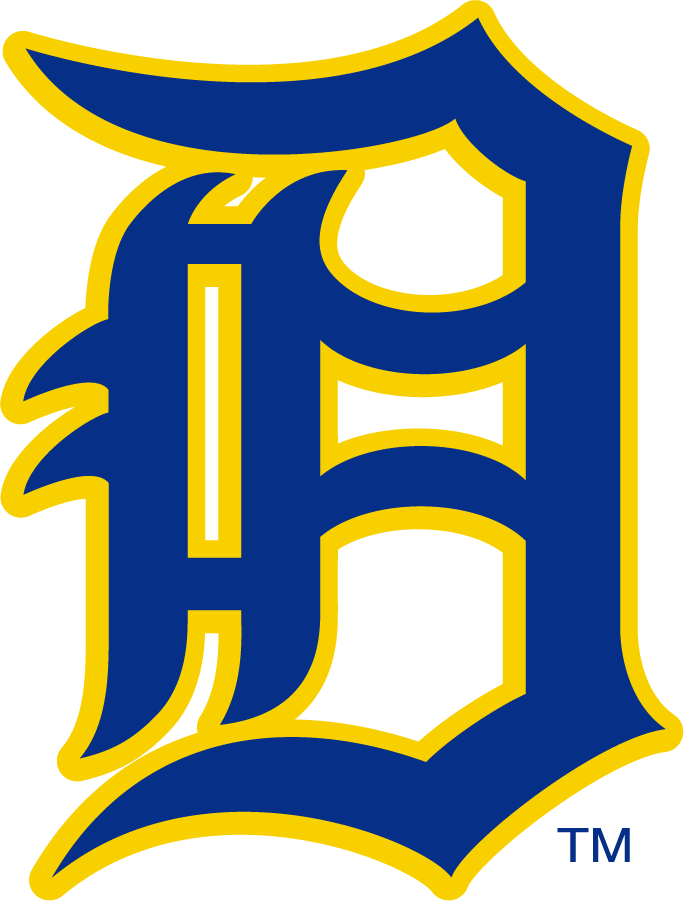 Delaware Blue Hens 1955-1967 Primary Logo iron on transfers for T-shirts